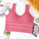 [10777] (CLEAR STOCK) W-B003 Bra Sport Bra Gym Olahraga Wanita Tanpa Kawat Elastis Underwear Female Motif Polos B03 (W-B003-AW/Red)